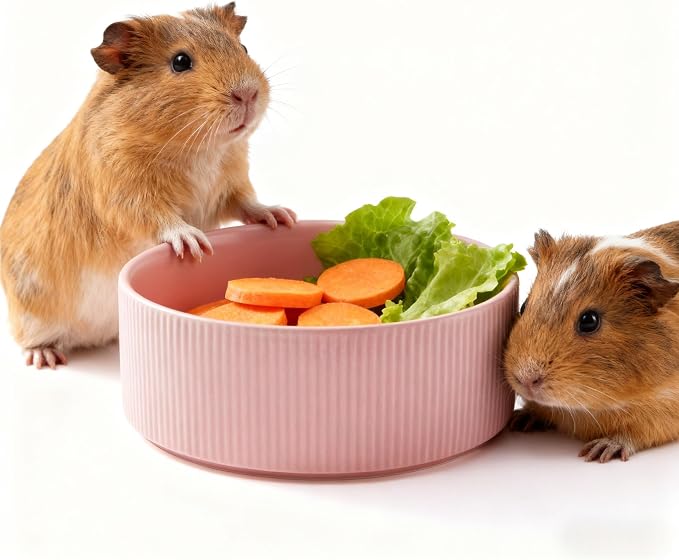 Guinea Pig Vegetable Bowl, Pink Ceramic 6 Inch Heavyweight Non-Tip Small Animal Food & Water Bowl – Wide Shallow Veggie Dish (~20 fl oz) for Chinchilla Rabbit Ferret
