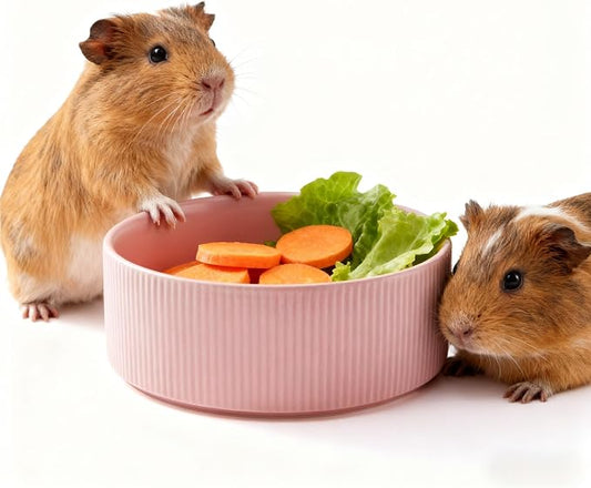 Guinea Pig Vegetable Bowl, Pink Ceramic 6 Inch Heavyweight Non-Tip Small Animal Food & Water Bowl – Wide Shallow Veggie Dish (~20 fl oz) for Chinchilla Rabbit Ferret