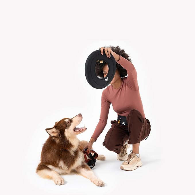 OllyDog Super Flyer, Floating Dog Disc for Water Play – Soft Durable Dog Fetch Toy, Eco-Friendly Recycled Material, Gentle on Teeth, Lightweight Flying Disc for Medium, Large Dogs (Raven, 11")