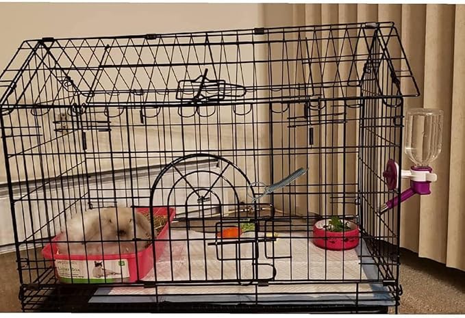 10 Pack Rabbit Cages Door Metal Finger Spring Latch Hook Multi-Functional Pet Cages Door Spring Latch for Fixing Small Animal, Rabbit, Dog, Cat, Parrot, Guinea Pig,Squirrel, Pet Cage Door