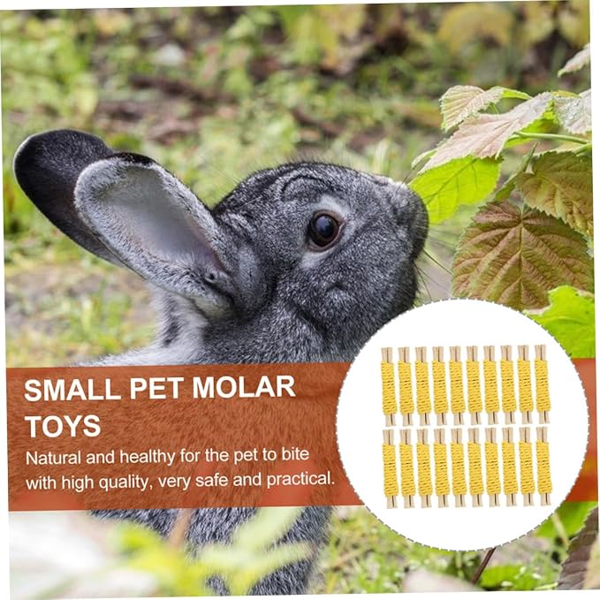 20pcs Small Animal Chew for Rabbits Guinea Pigs Hamsters Natural Wooden Sticks for Dental Care and Teeth Cleaning Safe Pet Chew Treats for Bunnies and Small Furry Pets