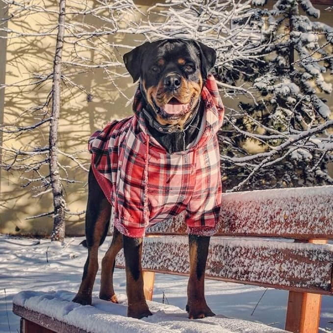 Spark Paws Dog Hoodie – Premium Dog Sweater for Small, Medium, and Large Dogs | Warm Outfits for French Bulldogs, Pitbull, Puppy, Winter Jacket Alternative - Red Plaid, 3XL