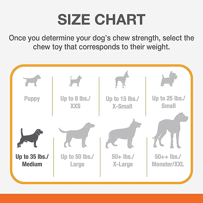 Nylabone Strong MAX Chew Cone Stuffable Chew Toy for Dogs, Beef Flavored Fillable Treat Toy, Medium/Wolf - Up to 35 lbs. (1 Count)