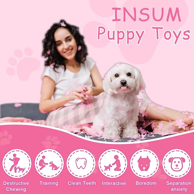 INSUM Pink Squeaky Tennis Balls, Girl Dog Birthday Toys Gifts for Small Medium Large Female, Cute Presents Girl Dog Accessories