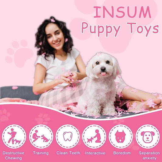 INSUM Pink Squeaky Tennis Balls, Girl Dog Birthday Toys Gifts for Small Medium Large Female, Cute Presents Girl Dog Accessories