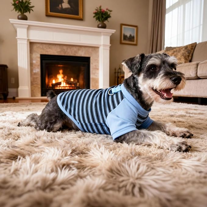 Pistha Dog Tshirt Striped Shirts for Dogs Clothes Stretchy Puppy T-Shirts with Metal Buckle for Small Medium Dog Boys Girls (Blue, X-Large)