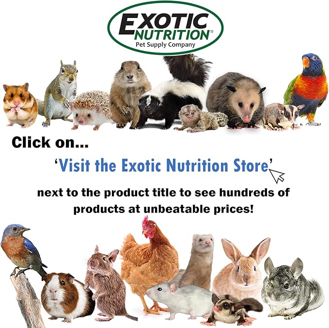 Exotic Nutrition Chicken Ecstasy (8.5 lb) - Healthy All-Natural Backyard Chicken Feed - Grains, Dried Mealworms & Natural Extracts - Promotes Healthy Chickens & Eggs