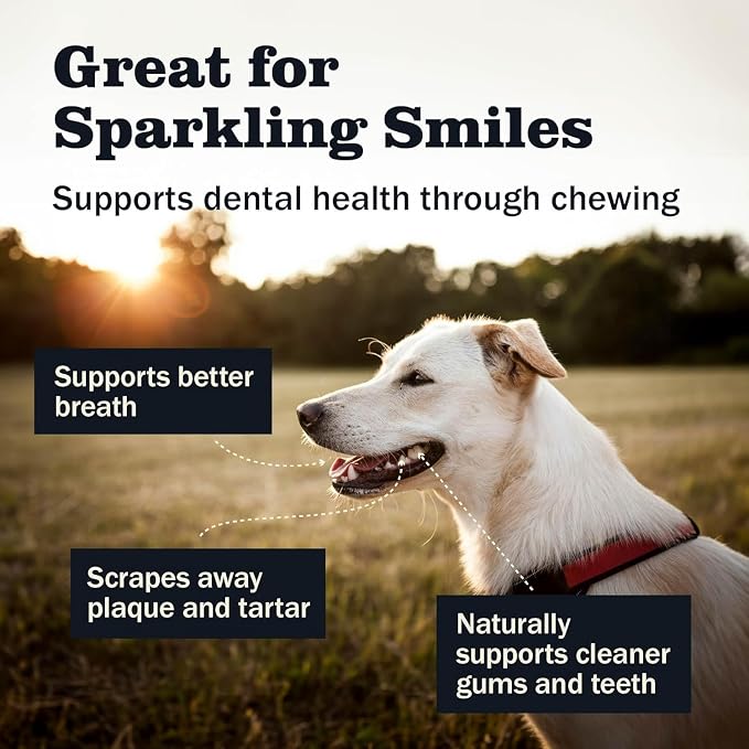 Redbarn Pet Products Naturals Barky Bark Beef Dog Treats 50 Bones