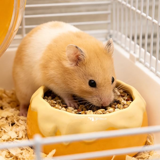 M2cbridge Ceramic Pudding Hamster Food Bowl Feeding Dish Water Bow for Guinea Pig Hedgehog Small Animal(Yellow)