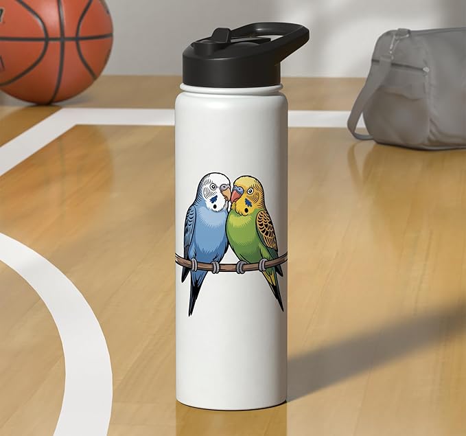 Parakeet Couple Cute Budgie Bird Lovers Art Stainless Steel Insulated Water Bottle