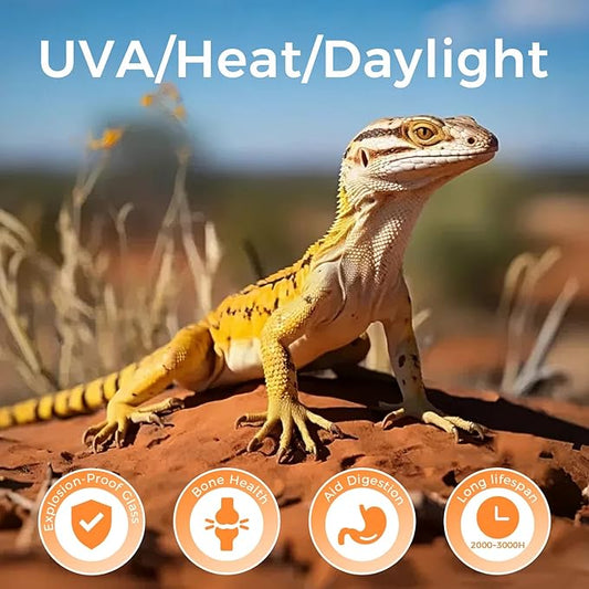 Reptile Heat Lamp 100W, Daylight UVA Basking Light Bulbs with E26 Base for Lizards, Turtles, Snakes and Amphibians 2 Pack
