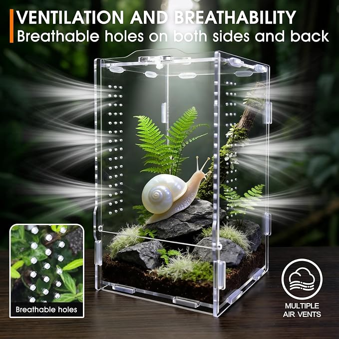 Jumping Spider Enclosure, Insect Terrarium, Bug Cage, Acrylic Terrarium for Tarantula, Snail, Praying Mantis, Frog, and Small Reptiles (4.7" x 4.3" x 7.8")