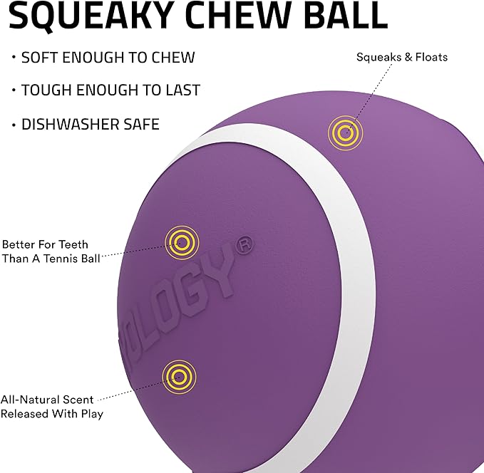Playology Dog Toys | Squeaky Chew Ball for Large Dogs | Bacon Scented Jumbo Dog Balls | Bouncy Floating Chew Toys for Fetch