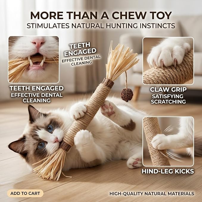 Cat Toys 12Pack Silvervine Chew Stick 12Pack Kitten Treat Catnip Toy Kitty Natural Stuff Catnip Matatabi for Cleaning Teeth Indoor Dental Snack Interactive