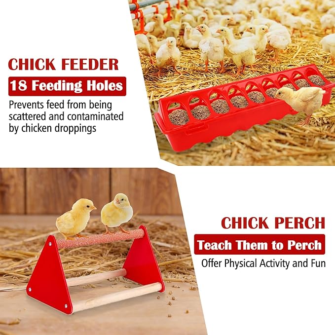 Chicken Feeder and Waterer Set with Chick Perch, Cool Baby Chick Feeder and Waterer Set, Chick Waterer, Baby Chicken Supplies for Small Poultry Chicks Ducks Quail Pigeons Birds(RED)