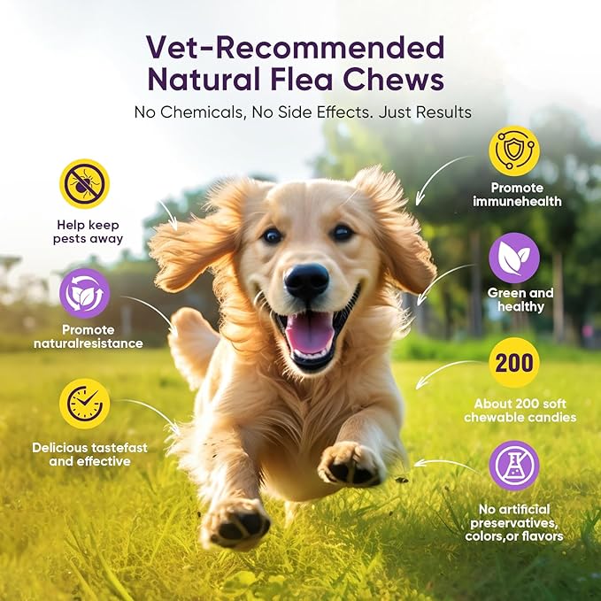 Dog Flea and Tick Treatment Chewable 200 Treatment Chews Natural Soft Chew Support Supplement Pest Defense Breeds and Ages Dogs Chicken Flavor