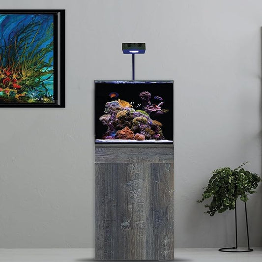 CURRENT Orbit R24 52 Watt Reef LED Saltwater Marine Aquarium Coral Light with Flex Arm Tank Mount Wireless Lighting & eFlux Wave Pump Control Bluetooth Loop App Compatable for Fish Tank (4410)