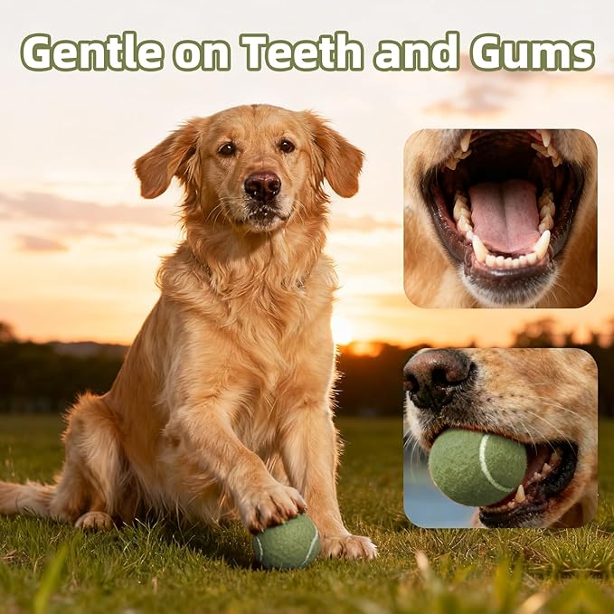 2.5" Dog Tennis Balls 24-Pack – Silent Bounce, Tough Rubber Core, Durable Fetch & Training Toys for Indoor/Outdoor Play, for Small Medium Large Dogs (Macaron Mixed Colors, 24-Pack)