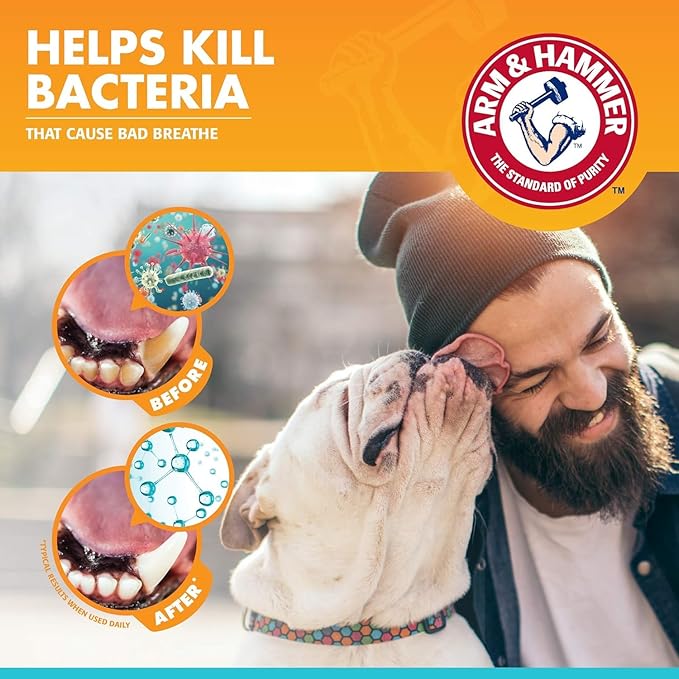 Arm & Hammer for Pets Dog Oral Care Spray, Mint Flavor Breath Freshener with Baking Soda for Brushless Plaque and Tartar Support, Easy Daily Dental Maintenance for Adult Dogs, 4 Fl Oz - 2 Pack