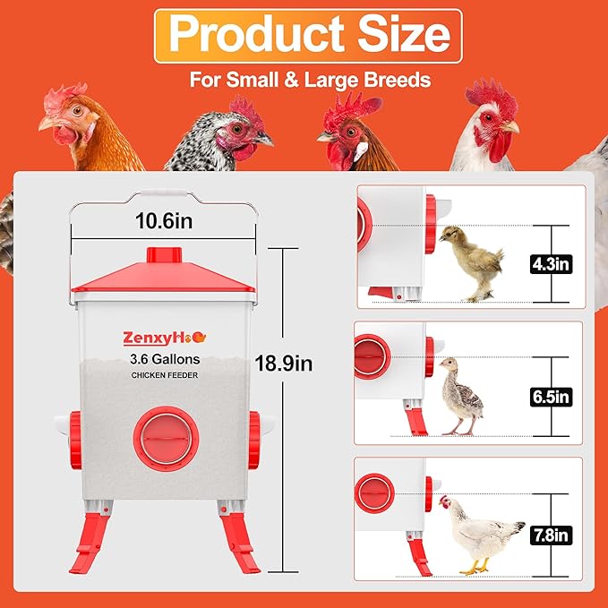 ZenxyHoC 3.6 Gal Chicken Feeder with Anti-Roost Cone, 3 Height Adjustable Locking Legs and 4 No-Waste Ports for Backyard Flock