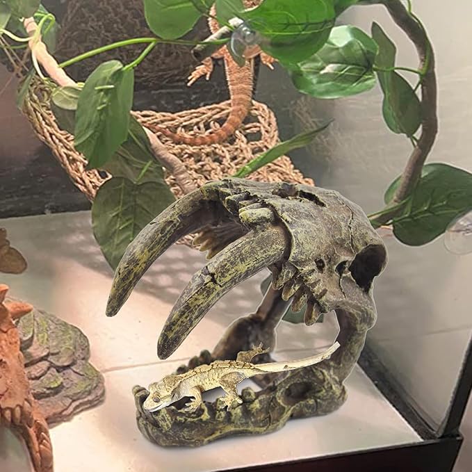 PINVNBY Reptile Resin Dinosaur Skull Decor,Crested Gecko Tank Accessories Hide Artificial Sabertooth Tiger Skull Skeleton Climbing Hideout Cave Landscape Decorations