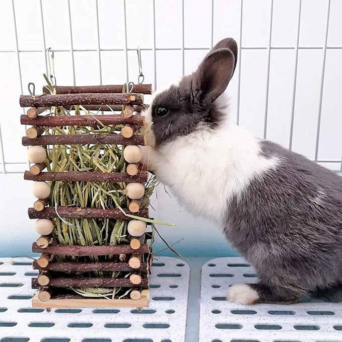 Hanging Apple Wood Rabbit Hay Feeder - Guinea Pig Grass Holder with 2 Hooks Biting Resistant Small Animals Chew Toy, Feeding Hay Manager Shelf for Chinchilla Bunny Hamster Gerbil Holiday Presents