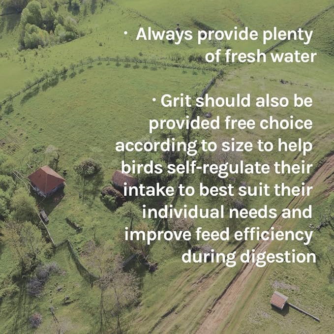 New Country Organics | Organic Grower/Broiler Feed for Growing Chickens | Soy-Free | 19% Protein | Certified Organic and Non-GMO | 25 lbs