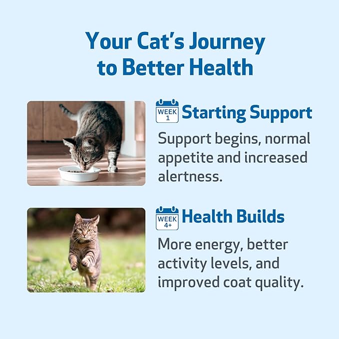 Pet Wellbeing Milk Thistle for Cats - Organic Herb, Milk Thistle Liver Detox Support, Antioxidants - NASC Certified & Vet-Formulated - 2 oz Liquid