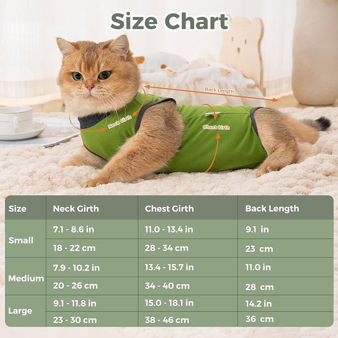 Avont Cat Recovery Suit for Surgery, Breathable Anti-Licking Onesie for Kittens, Surgical Post-Operative Protective Bodysuit, Comfortable Alternative to E-Collar -Green (S)