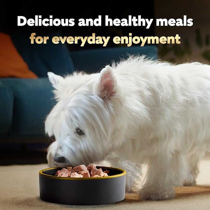 Cesar Loaf & Topper in Sauce Wet Dog Food, Rotisserie Chicken Flavor with Bacon & Cheese, Wet Food for Dogs, 3.5 oz Easy Peel Trays, 24 Count (Pack of 2)