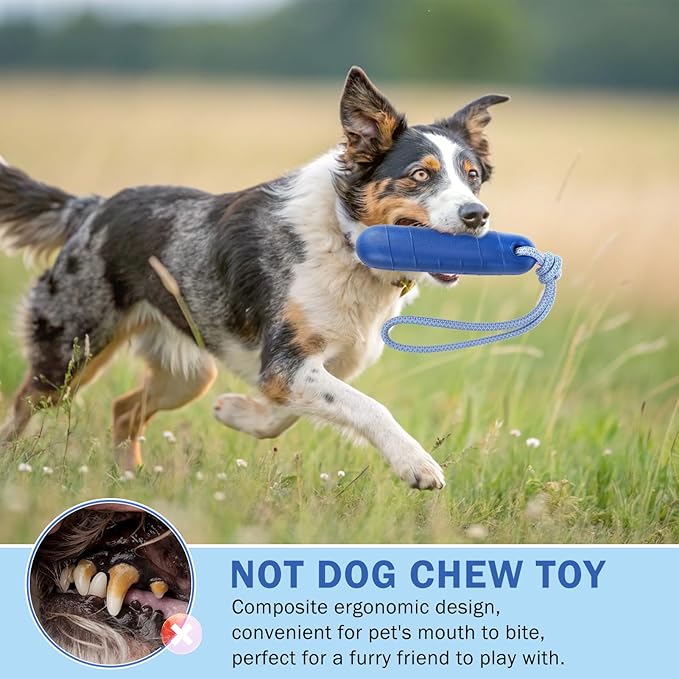 SCENEREAL Floating Dog Toys for Water Fetch, 8.5" Dog Water Toy for Medium Large Dogs, Tough Interactive 2 Pack Fetch Bumpers with Durable Rope for Summer Training Teething Outdoor Pool, Blue & Green