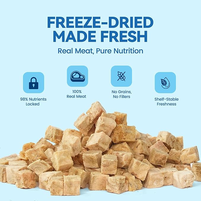Freeze-Dried Salmon Cat Treats for Skin & Coat Support, 4oz Single Ingredient High Protein Snacks, Grain & Gluten Free