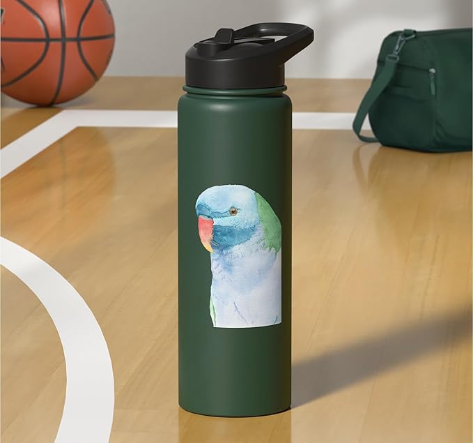 Red-brested moustached parakeet watercolor parrot portrait Stainless Steel Insulated Water Bottle