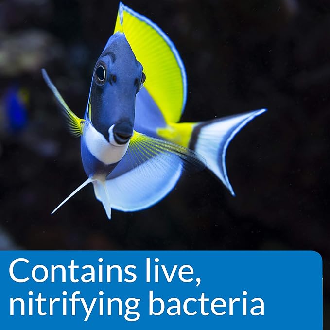 API MARINE QUICK START Saltwater And Reef Aquarium Nitrifying Bacillus 16-Ounce Bottle