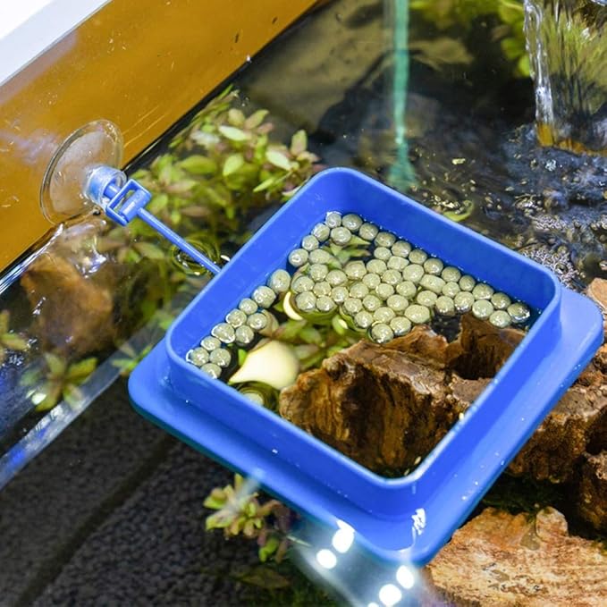 Fish Feeding Ring, Floating Food Feeder Thicken Square, Reduces Waste and Maintains Water Quality, for Flakes and Floating Fish Foods, for Guppy, Betta,