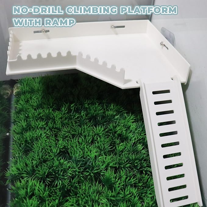 No-Drill Climbing Platform with Ramp, Hermit Crab Climbing Wall & Hideout, Multi-Level Platform with Ladder, No-Tools Mounting for Geckos, Small Lizards, Hamsters