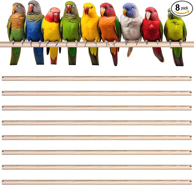 Sintuff 8 Pcs Bird Perches for Cage Accessories, Wooden Perch Rods Replacement with Double Head Slots, 0.6 Inch Diameter Natural Wood Stand for Parrot Macaw Cockatoo Parakeet (24 Inches)