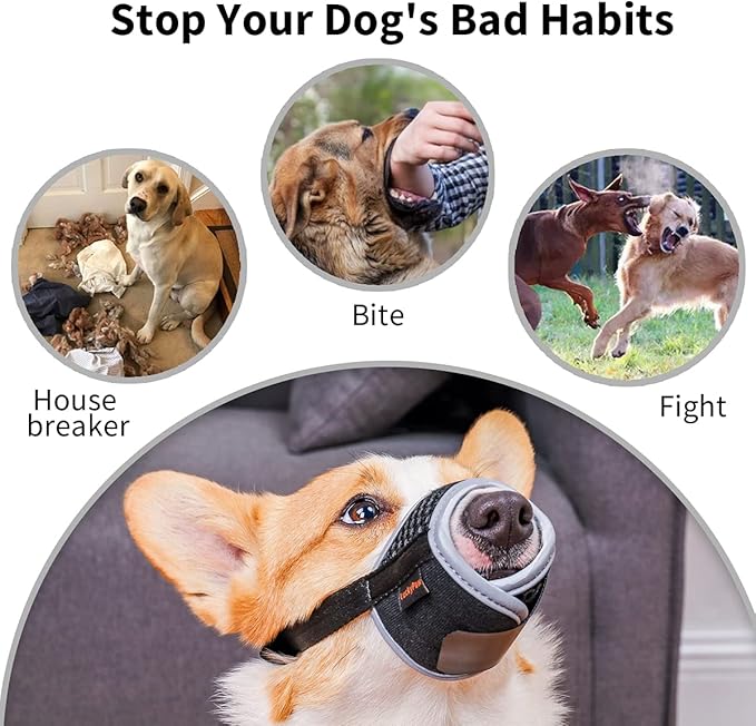 LUCKYPAW Dog Muzzle Anti Biting Barking and Chewing with Comfortable Mesh Soft Fabric and Adjustable Strap, Suitable for Small, Medium and Large Dogs