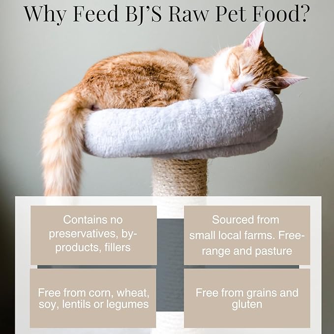 BJ'S RAW PET FOOD Freeze Dried Complete & Balanced Cat Food Mix | Multi-Protein Meal for Optimal Feline Health | Made in USA, 4-Ounce