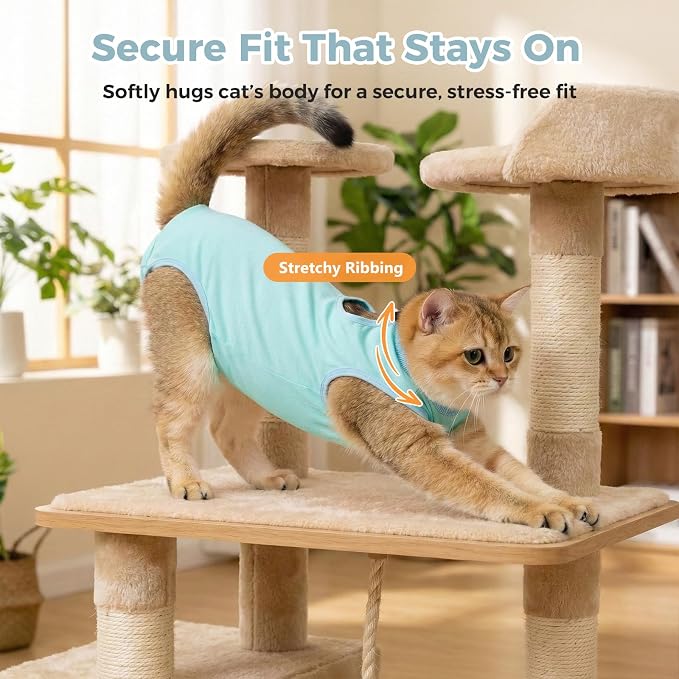 Avont Cat Recovery Suit for Surgery, Breathable Anti-Licking Onesie for Kittens, Surgical Post-Operative Protective Bodysuit, Comfortable Alternative to E-Collar -Mint (S)