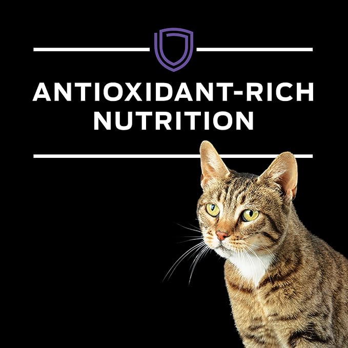 Purina Pro Plan Veterinary Diets EN Gastroenteric Naturals With Added Vitamins, Minerals and Nutrients Feline Formula Natural Dry Cat Food - 10 lb. Bag