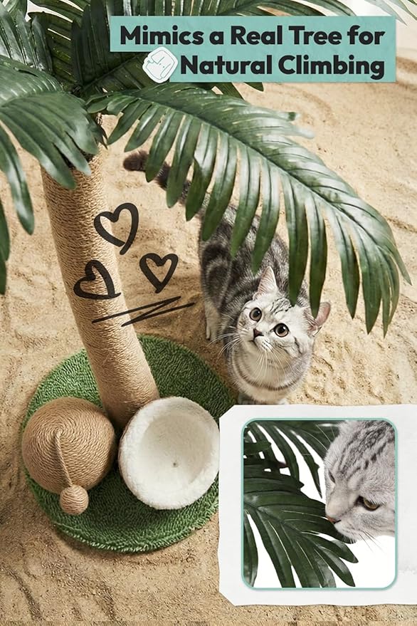 33" Tall Cat Scratching Post, Natural Jute Cat Scratcher for Indoor Cats,Twin Coconuts & Tree Design with Hanging Toy Ball & Rest Platform,Stable Furniture Protector for Kittens & Adult Cats,M