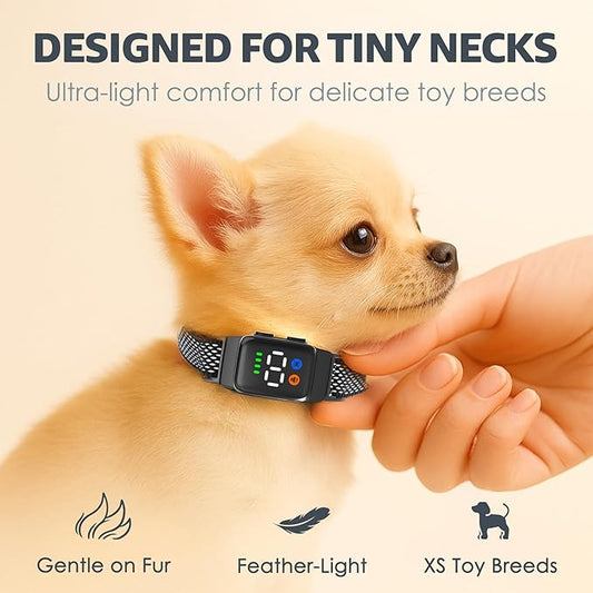Teacup Bark Collar for Small Dogs 2-15lbs - No Shock Humane Anti Barking Collar with Vibration & Beep - Ultra Light Tiny Dog Bark Collar for Toy Breeds, IP67 Waterproof, Magnetic Rechargeable (Black)