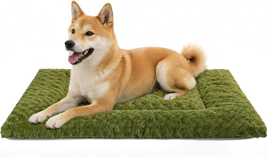 Washable Dog Bed Mat Ultra Soft Dog Crate Pad Comfy Fluffy Pet Kennel Beds Sleeping Mattress for Large Jumbo Medium Small Dogs, 36 x 23 Inch,Green