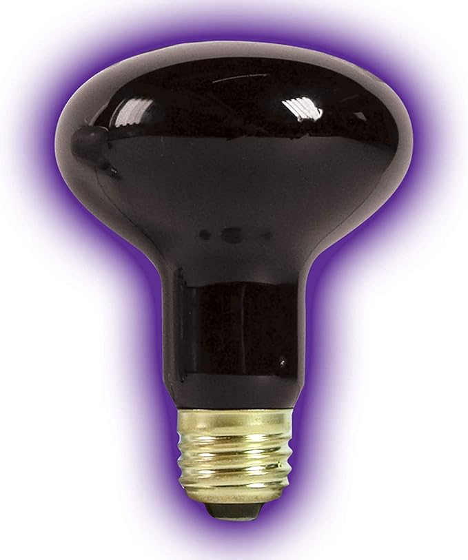 Zilla Incandescent Spot Bulbs Night Black 75 Watts (Pack of 3)