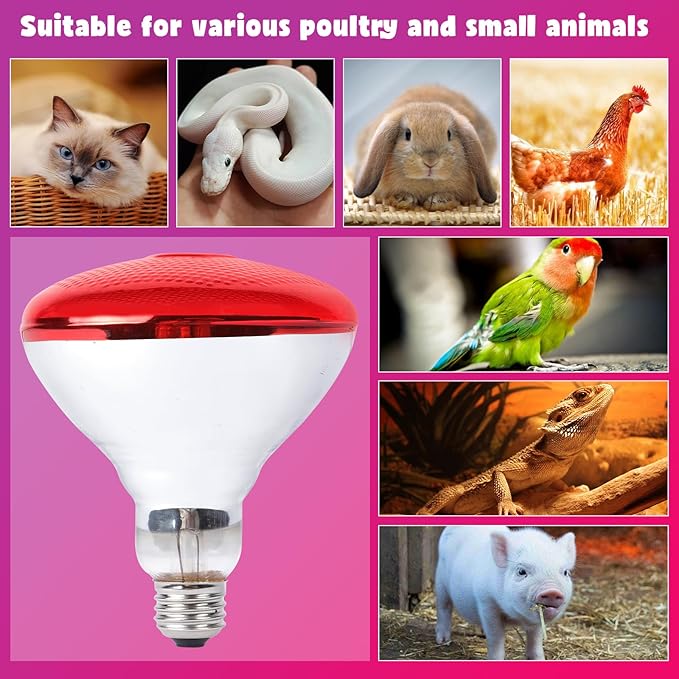 LUCKY HERP Infrared Heat Lamp for Chickens - 250 Watts Red Heat Lamp Bulb 1 Pack, Heat Light Bulb for Brooder Coop, Food Service, Chicks, Pet, Reptile