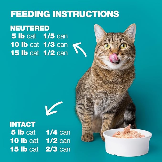Natural Code - 24 Pack Wet Cat Food, Limited Ingredient Cat Food, High-Protein, Non-GMO, No Artificial Additives, Made in Italy, Tuna and Cheese in Broth for Adult Cats, 3 oz