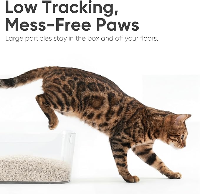 FUKUMARU Tofu Cat Litter - White Tea Scented Natural Lightweight Cat Litter Pellets, Dust Free Quick Clumping, Effective Odor Control, Flushable, Low Tracking, 18lb (6lb x 3 Bags)
