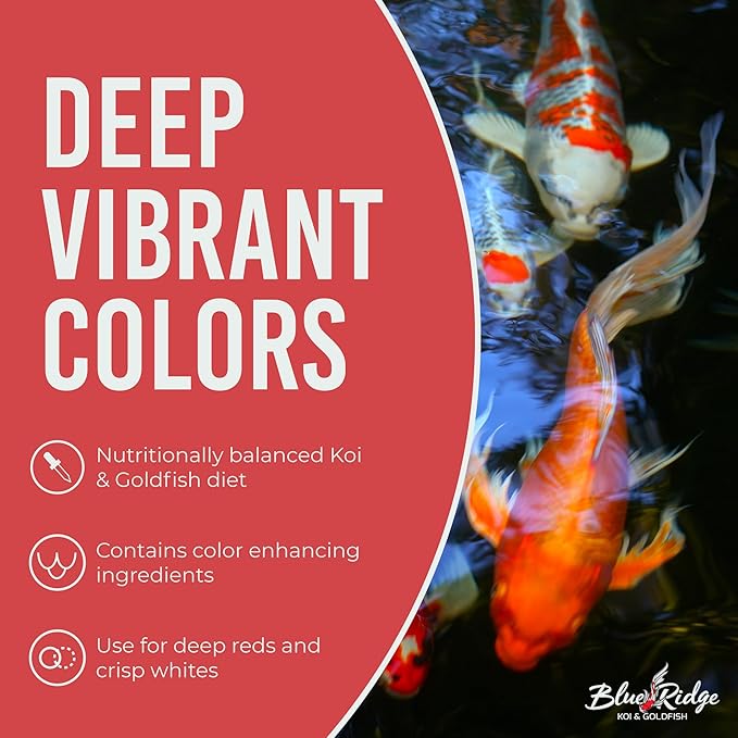 Blue Ridge Koi Fish Food 2lb - Koi Food Color Growth Formula, Goldfish Food, Premium Fish Food for Ponds, Ponds Fish Food, Floating Pond Pellets