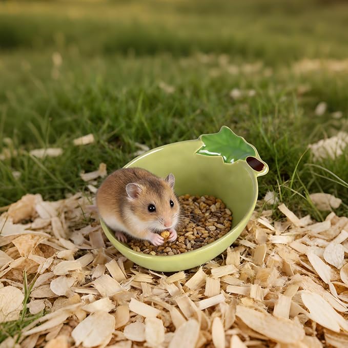 Small Guinea Pig Food Bowl Cute Ceramic Hamster Water Bowl Ferret Rat Chinchilla Rabbit Feeding Dish Young Animal Feeder (Avocado Green)